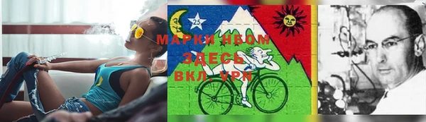 прущая мука Новодвинск