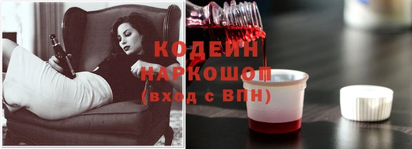 Альфа ПВП Новозыбков