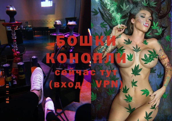 Альфа ПВП Новозыбков