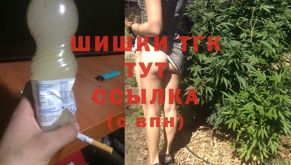 стаф Няндома