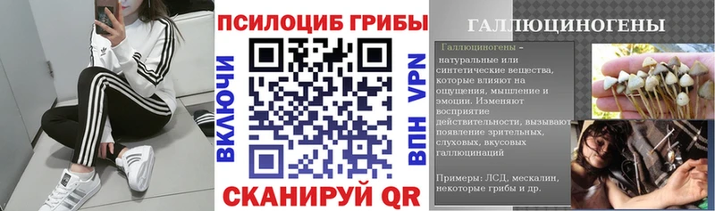 Галлюциногенные грибы Psilocybe Арамиль
