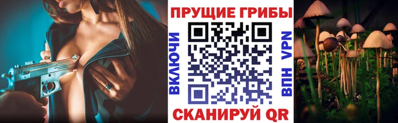 Галлюциногенные грибы Psilocybine cubensis  где купить наркотик  Арамиль 